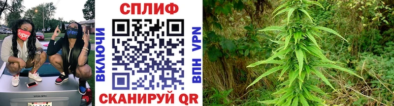 Бошки Шишки тримм  Орск 